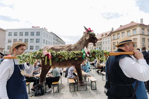 Festival vína VOC Znojmo